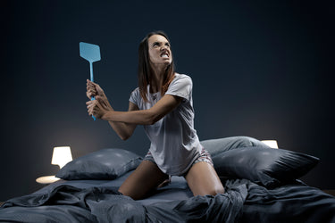 Mosquito in bedroom
